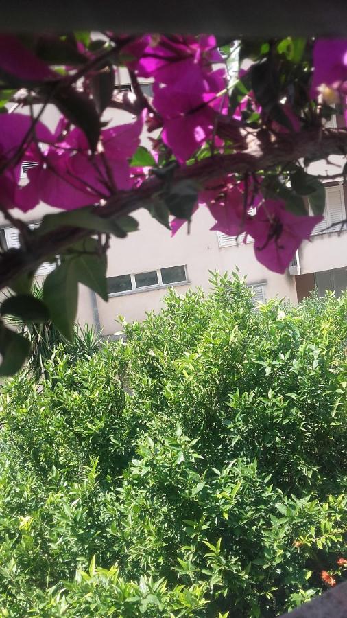 Centar Guest House Makarska Esterno foto